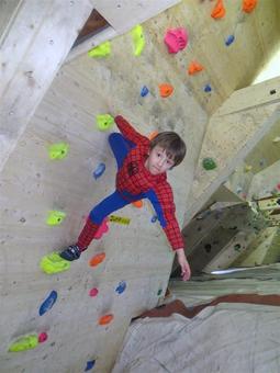 Spidercelefg_medium__normal